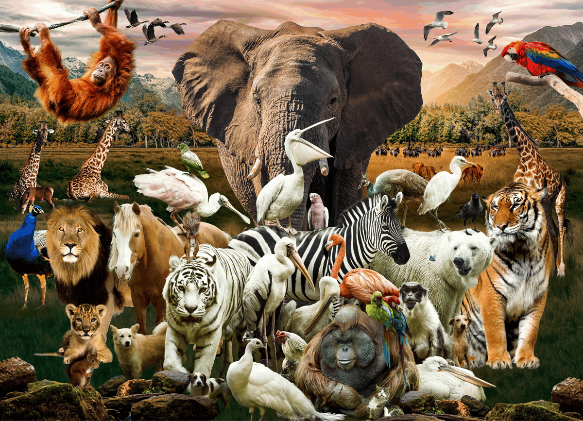 Animals Safari Animals Jigsaw Puzzle