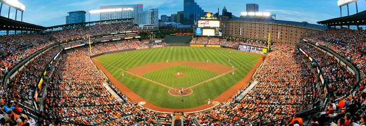 Baltimore Orioles - Scratch and Dent Sports Jigsaw Puzzle