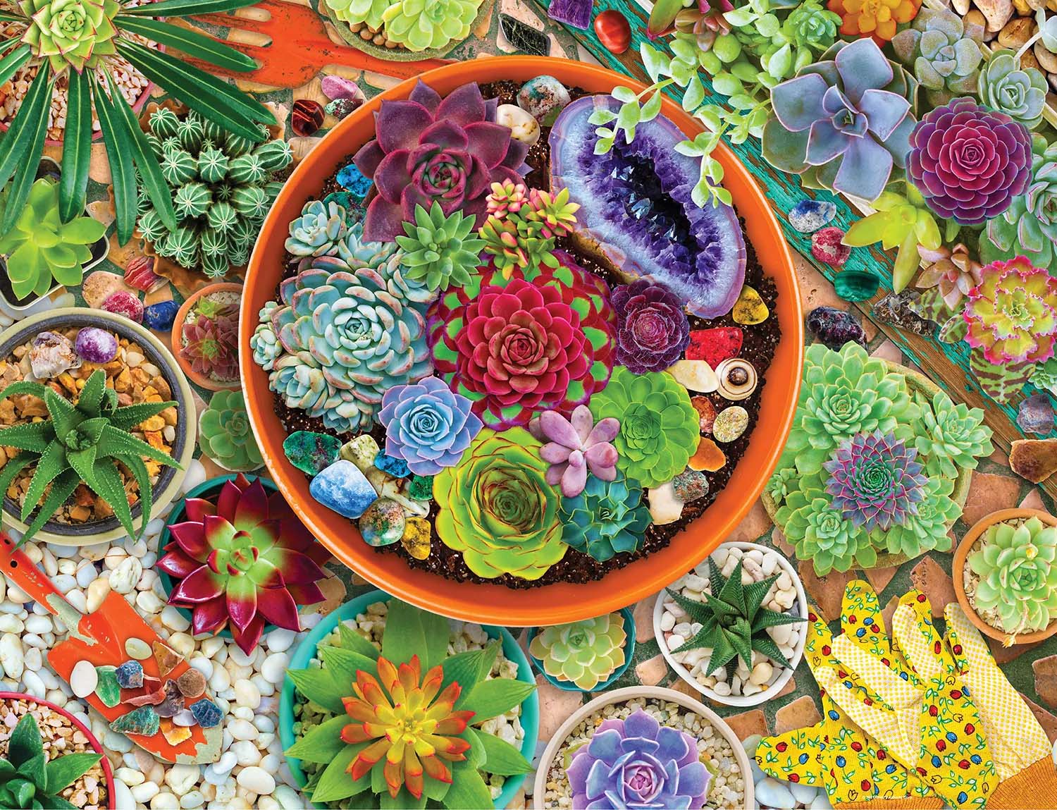 Succulent Garden Flower & Garden Jigsaw Puzzle