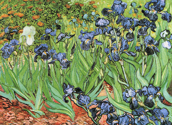 Iris (Van Gogh), 1000 Pieces, Ricordi Arte | Puzzle Warehouse