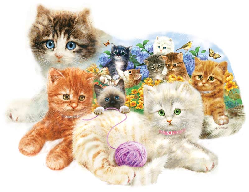 kitten puzzle