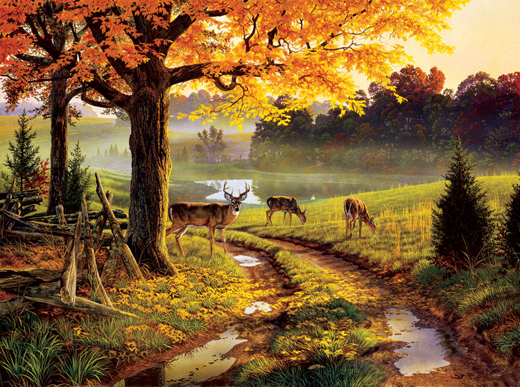 A Bend in the Road - Scratch and Dent Countryside Jigsaw Puzzle