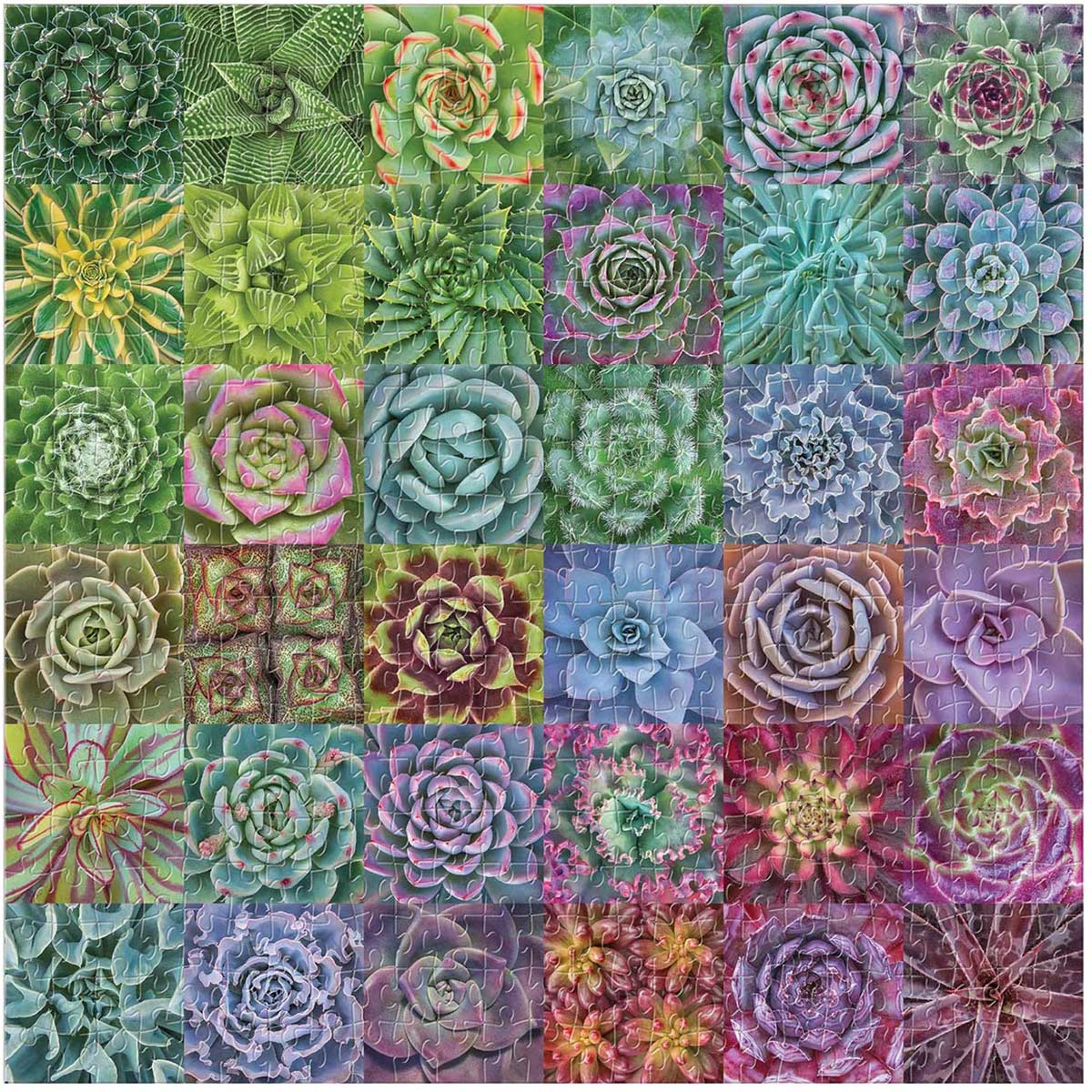 Succulent Spectrum Flower & Garden Jigsaw Puzzle