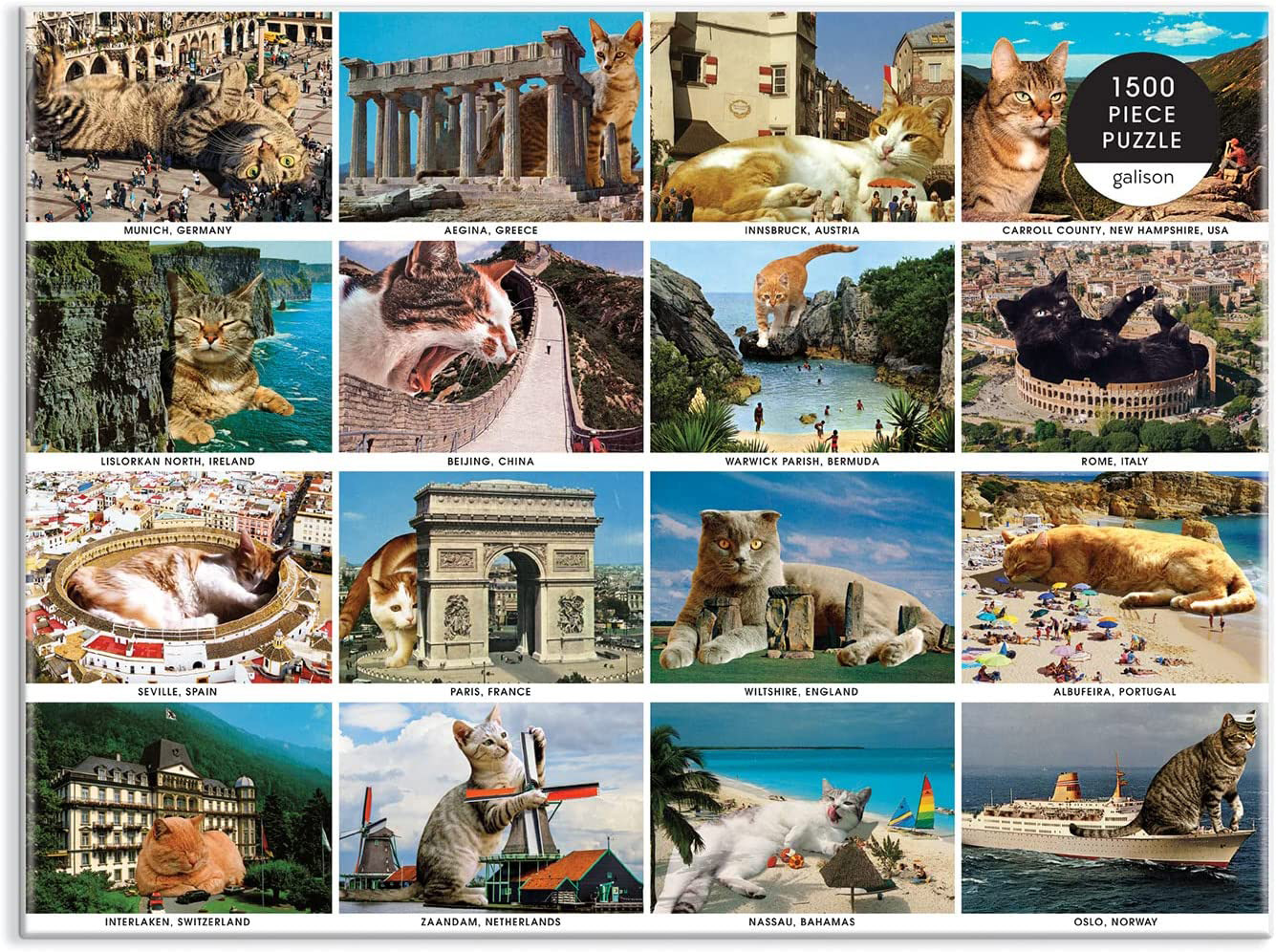 Vacation Cats Cats Jigsaw Puzzle