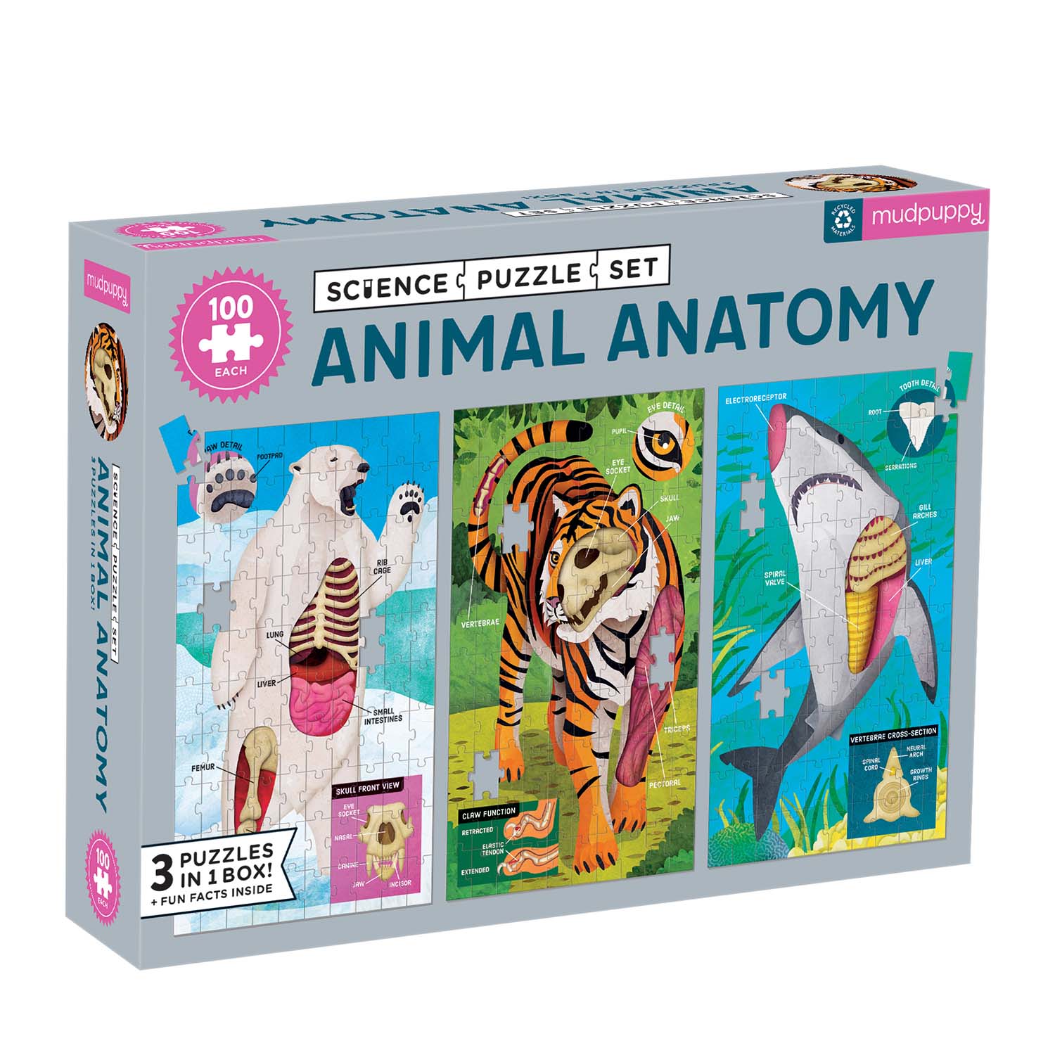 Animal Anatomy Animals Jigsaw Puzzle