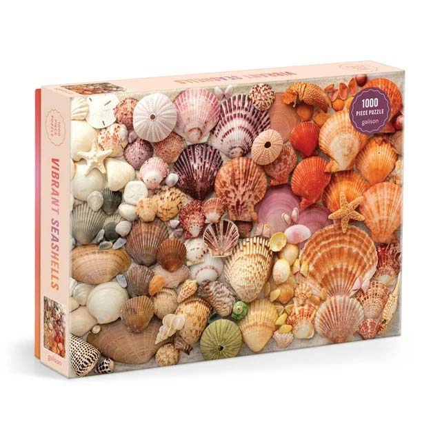 Vibrant Collection of Sea Shells