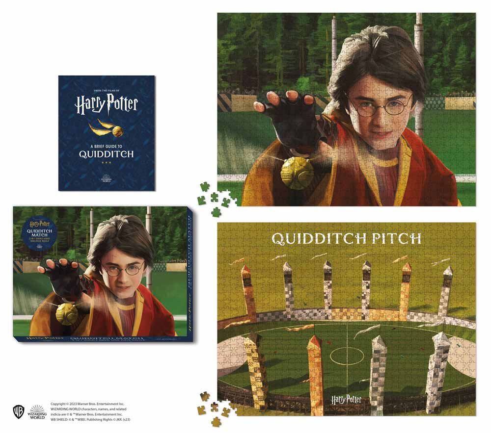 Harry Potter Quidditch Match  Movies & TV Jigsaw Puzzle
