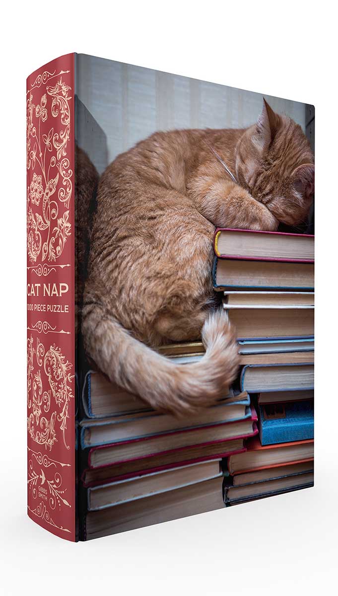 Cat Nap Book Box Puzzle Cats Jigsaw Puzzle