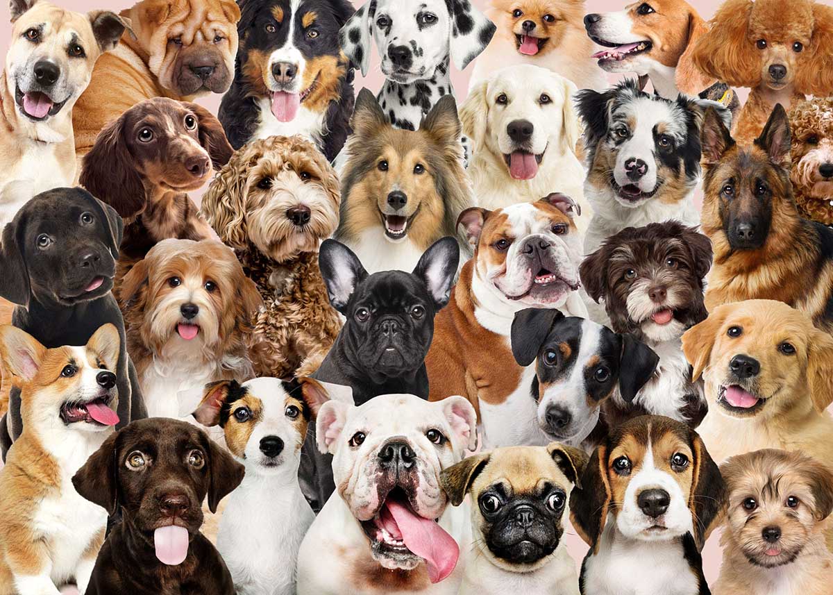 All the Dogs Dogs Jigsaw Puzzle