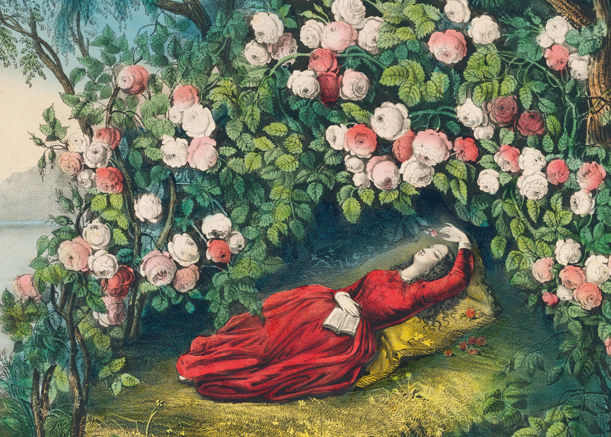 The Bower of Roses Flower & Garden Jigsaw Puzzle