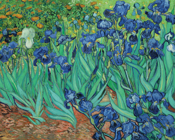 Irises Fine Art Jigsaw Puzzle