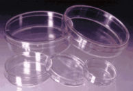 Petri Dish 100x15 Sterile Stack 500/Cs