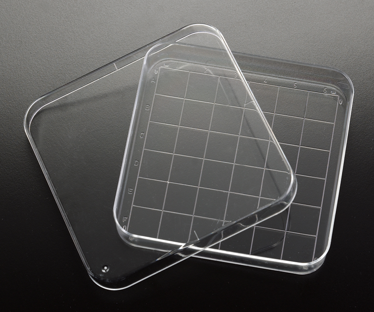 Square Petri Grid 100x100x14 500/Case