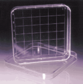 Square Petri Dish 100x100x20 160/Case