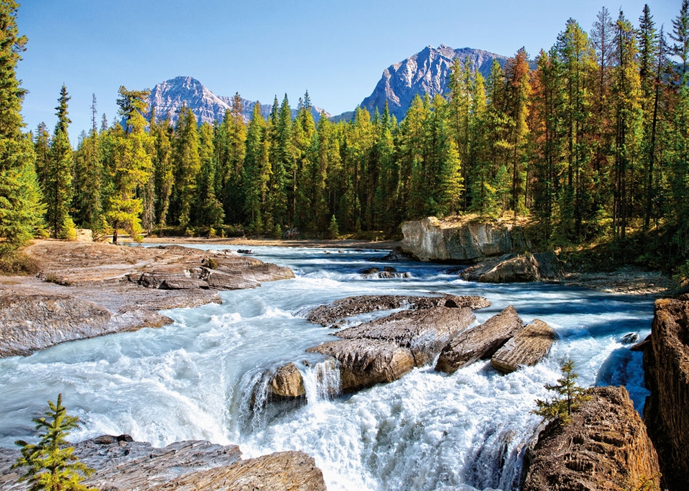 Athabasca River, Jasper National Park, Canada - Scratch and Dent Mountain Jigsaw Puzzle