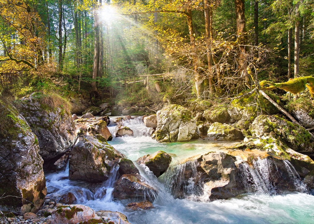 The Forest Stream Forest Jigsaw Puzzle