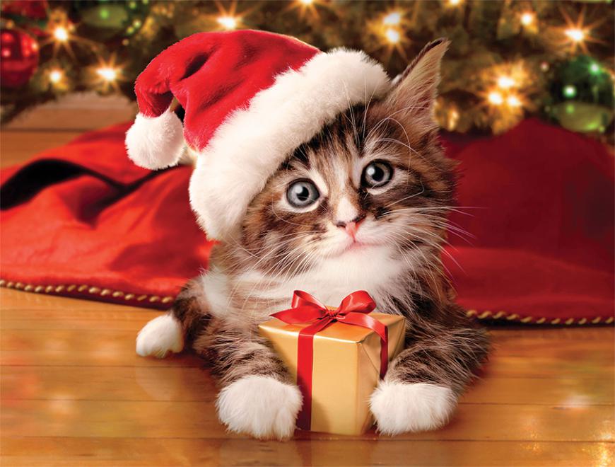 Precious Kitty (Holiday Avanti)