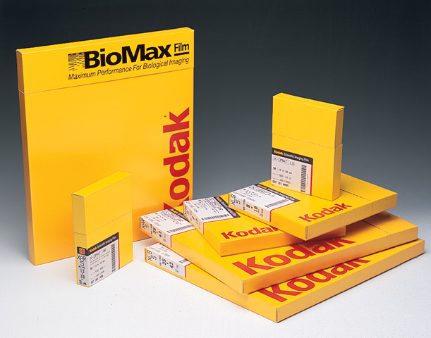 Kodak XAR-5 8x10 50/Box