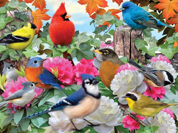 Garden Birds - Scratch and Dent Birds Jigsaw Puzzle