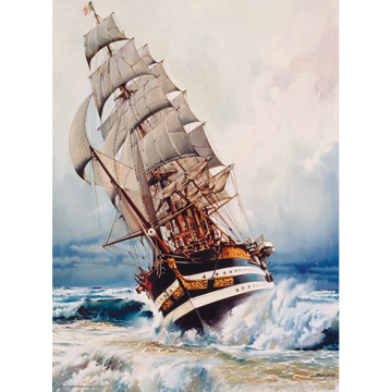 Black Pearl - Scratch and Dent Boat Jigsaw Puzzle