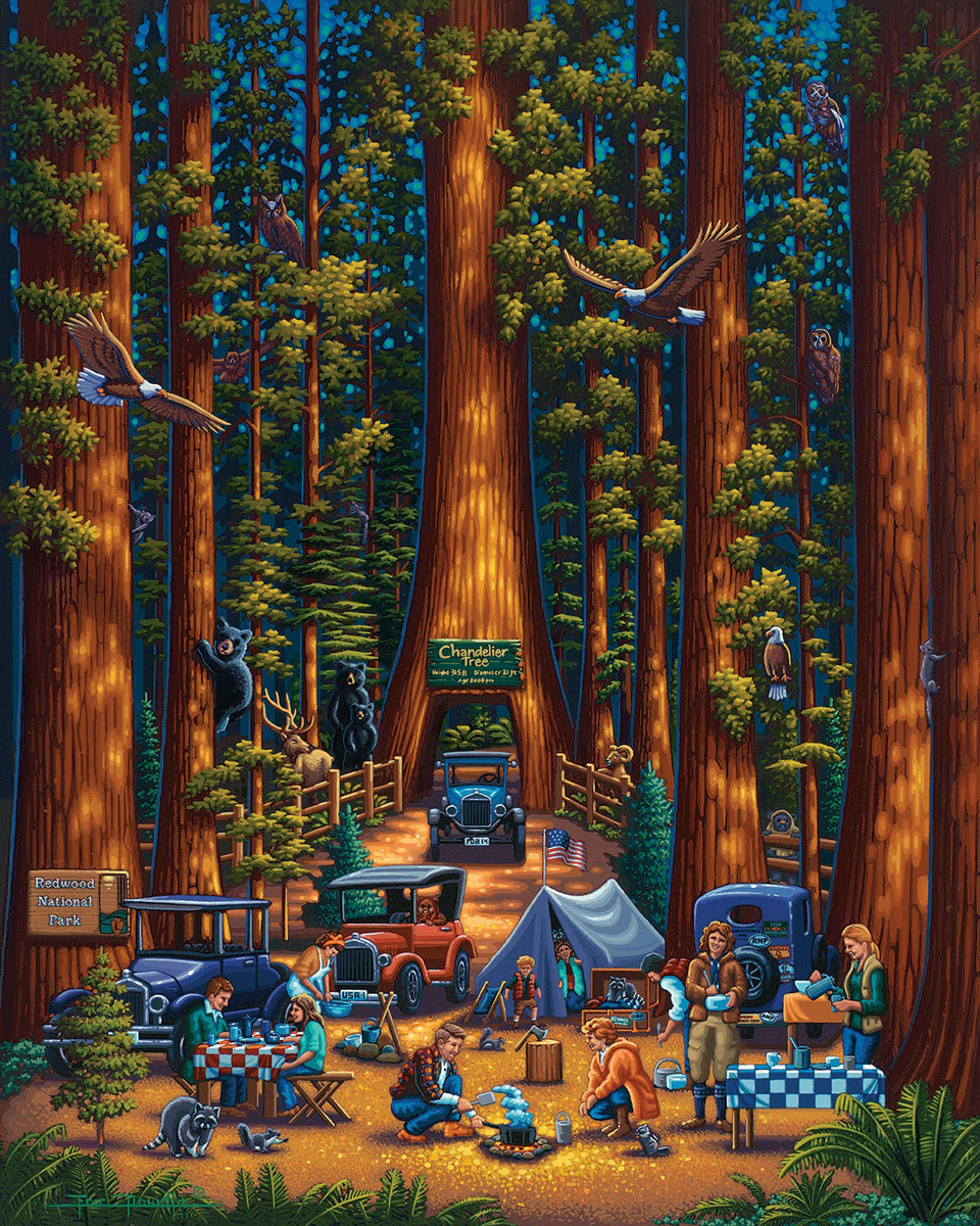 Redwood National Park National Parks Jigsaw Puzzle