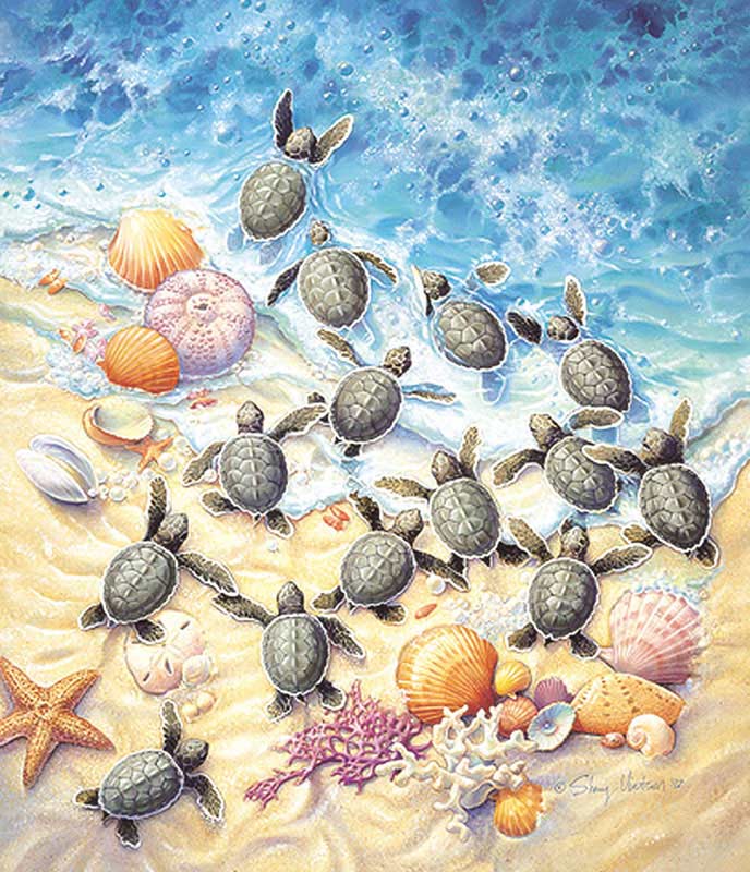 Green Turtle Hatchlings Sea Life Jigsaw Puzzle