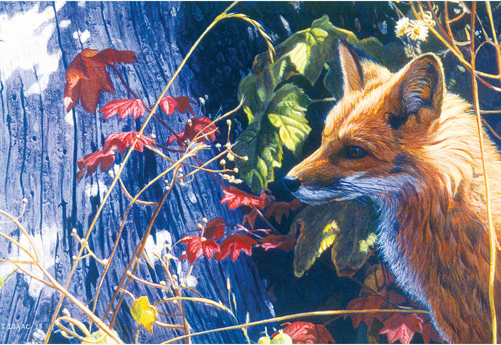 Autumn Red Fox - Scratch and Dent Forest Animal Jigsaw Puzzle