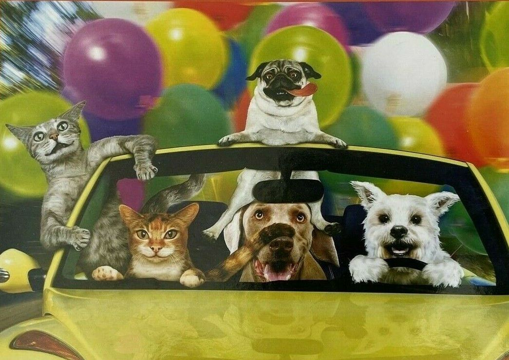 Car Ride Dogs Jigsaw Puzzle