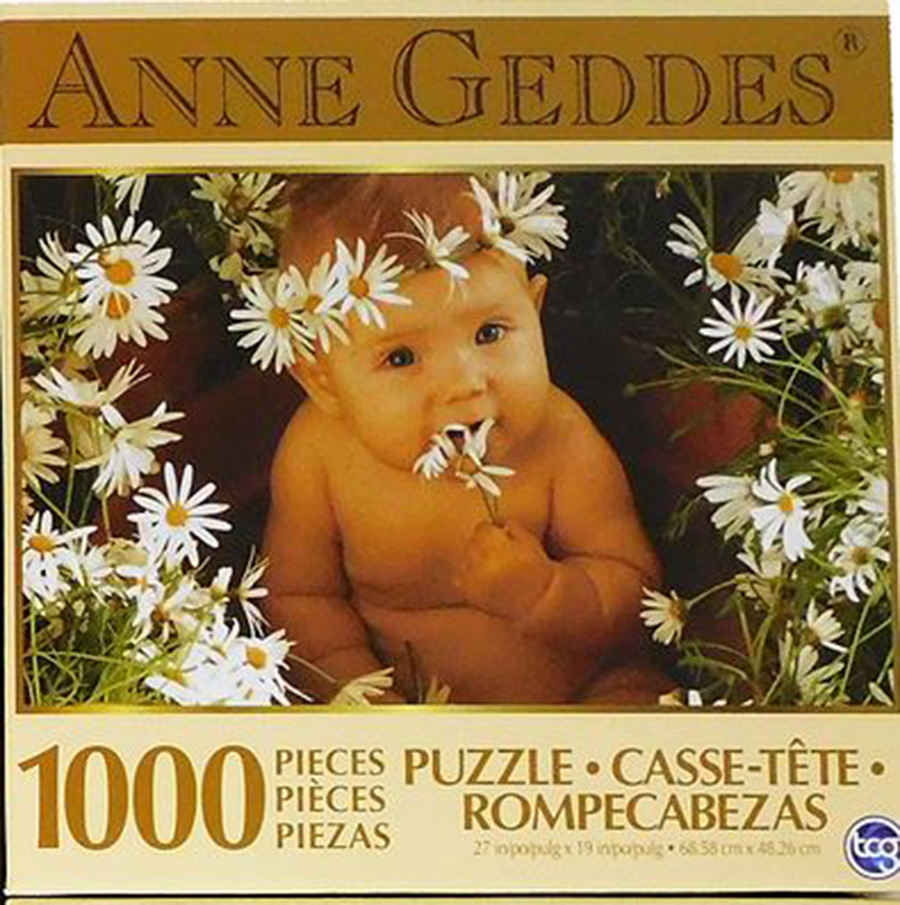Daisies Flower & Garden Jigsaw Puzzle