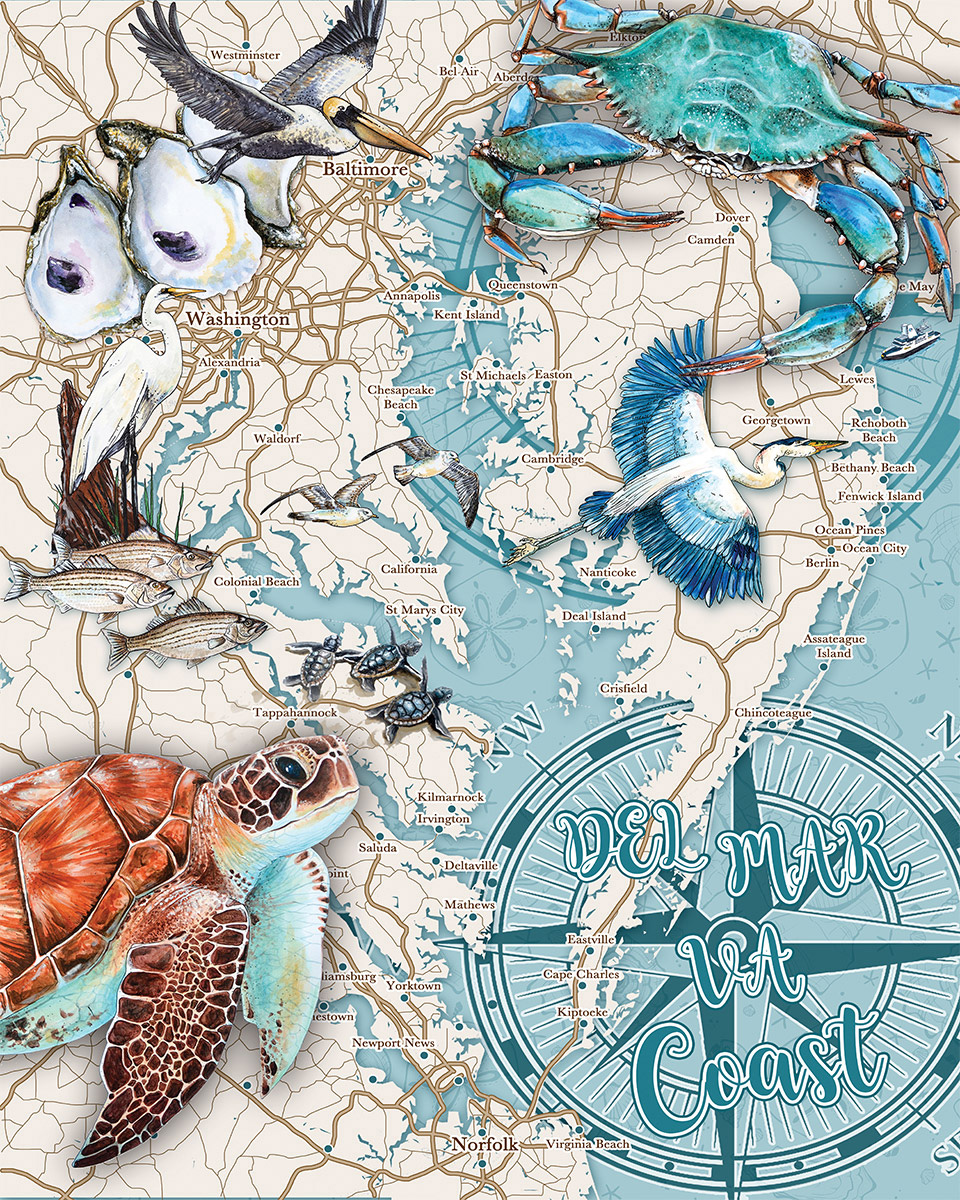 Coastal Delmarva Sea Life Jigsaw Puzzle