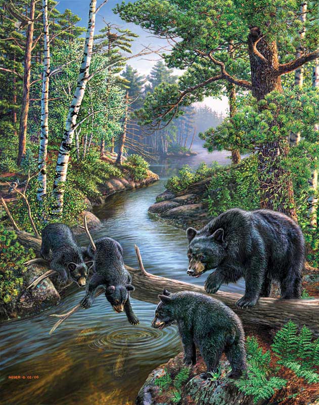 Cobble Hill JIGSAW PUZZLE Bears In Forest 500 Piece New Factory Sealed