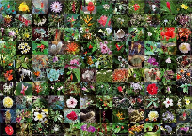Blossoms - Scratch and Dent Flower & Garden Jigsaw Puzzle