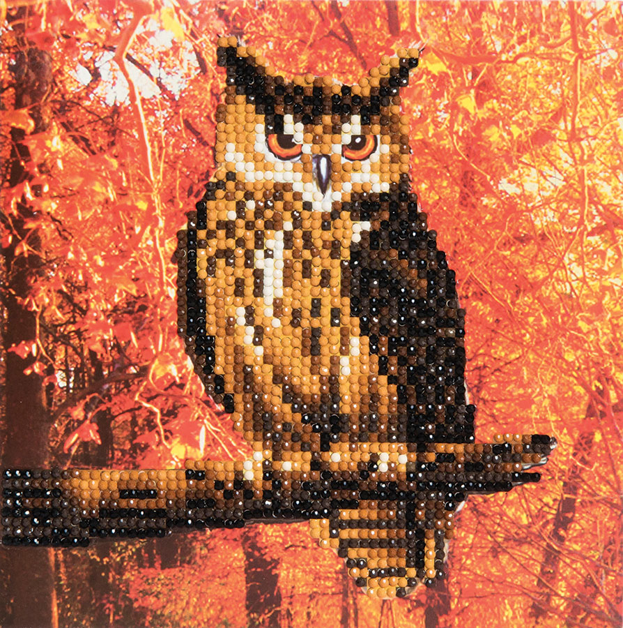 Autumn Owl Crystal Art Card Kit