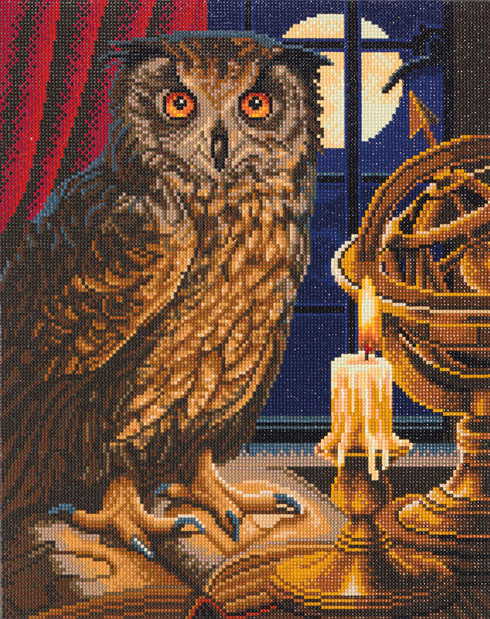 The Astrologer Owl  Crystal Art Large Framed Kit