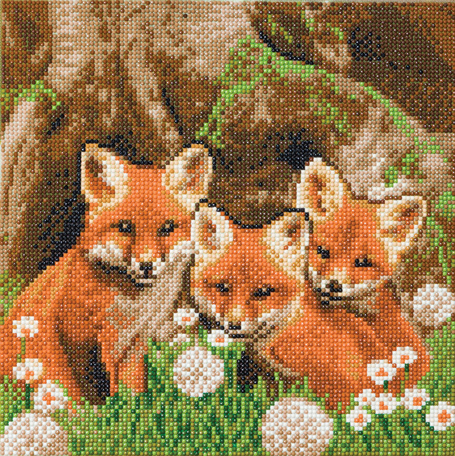 Fox Cubs Crystal Art Medium Framed Kit