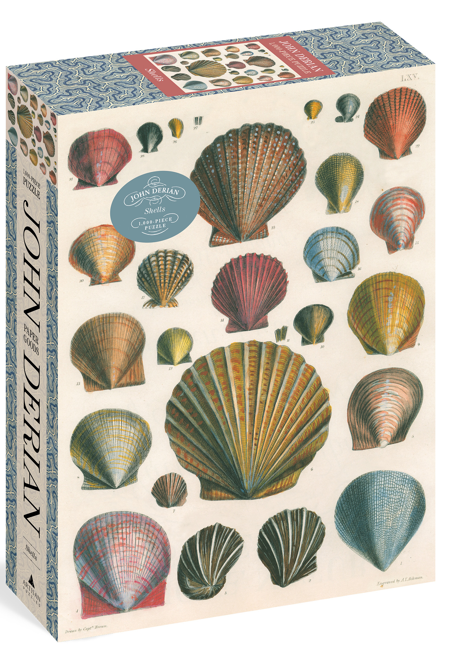 Shells Collage Jigsaw Puzzle