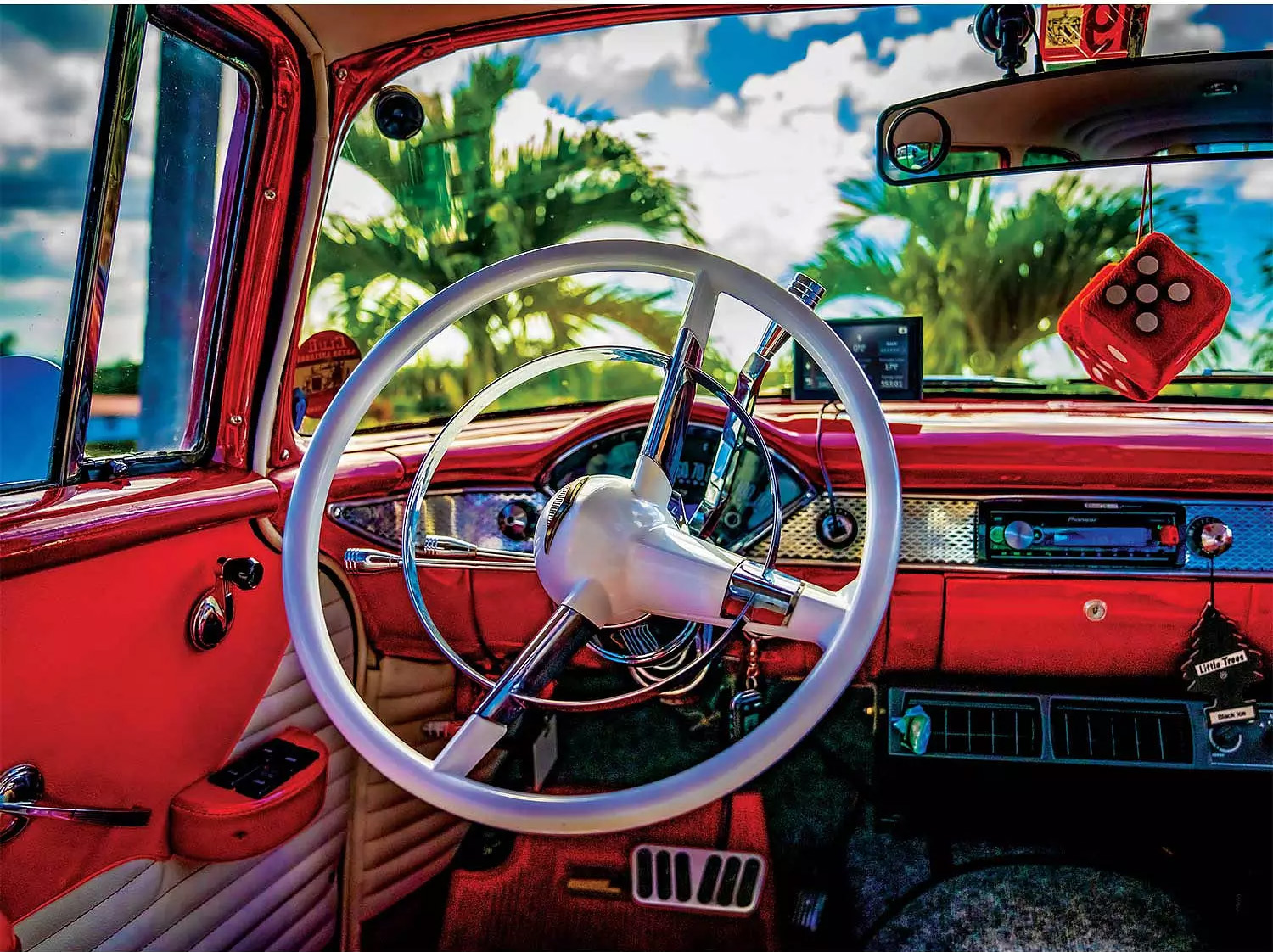 Tropical Traveling Car Jigsaw Puzzle