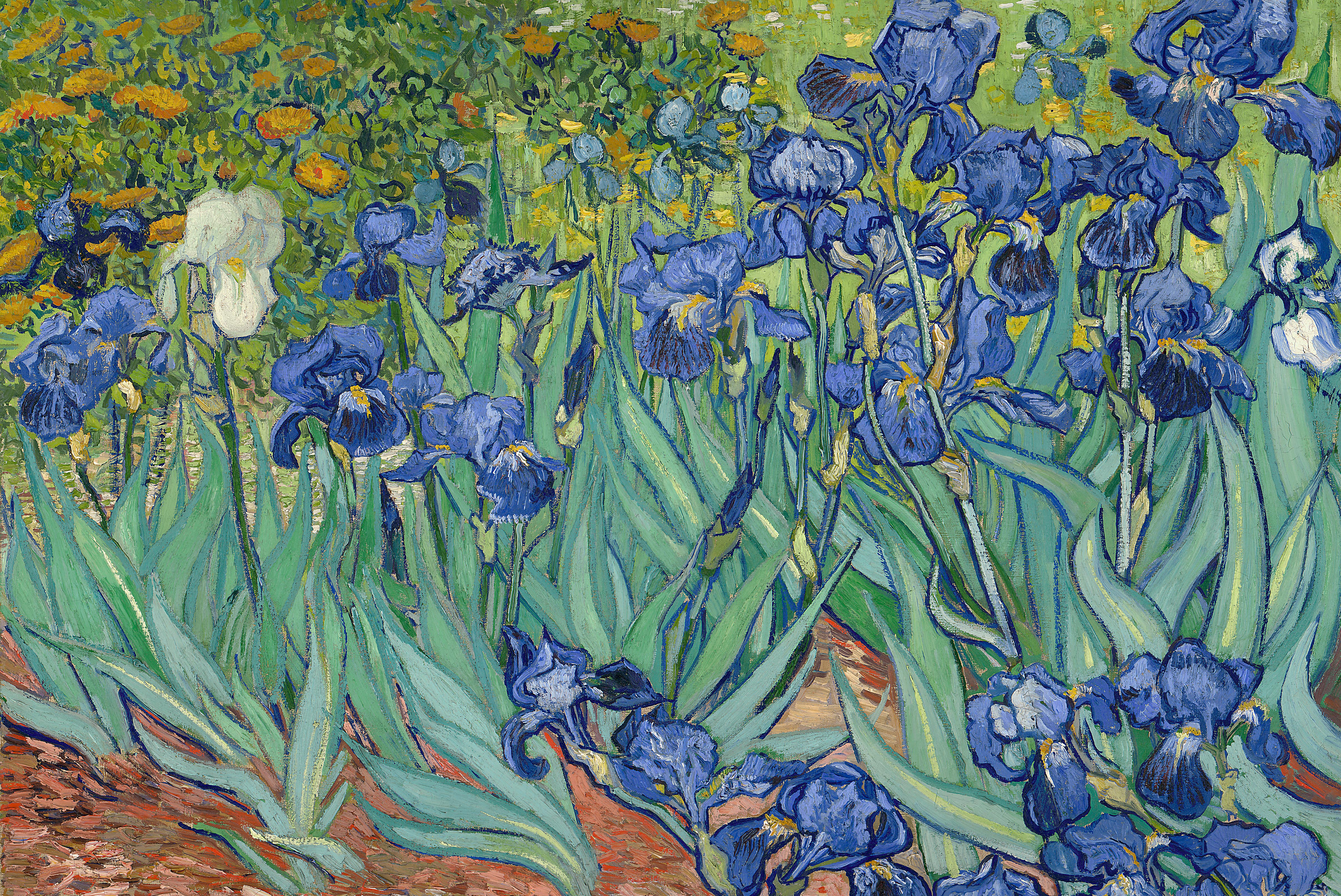 Irises in Garden by Van Gogh