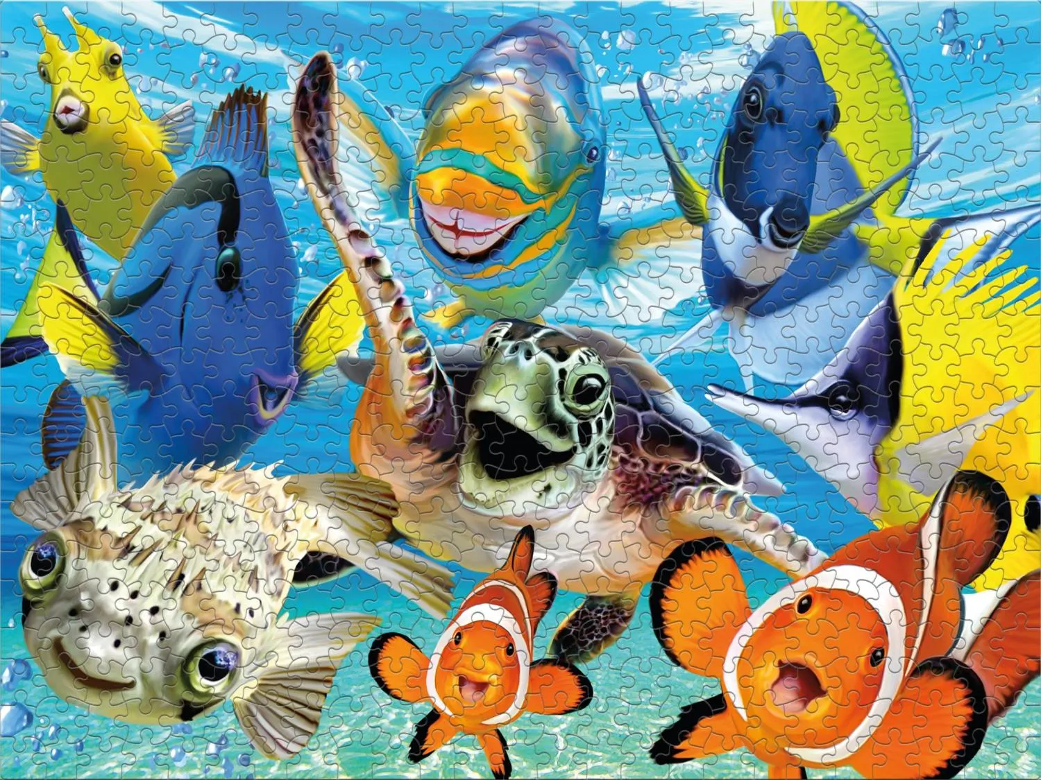Undersea Selfies Sea Life