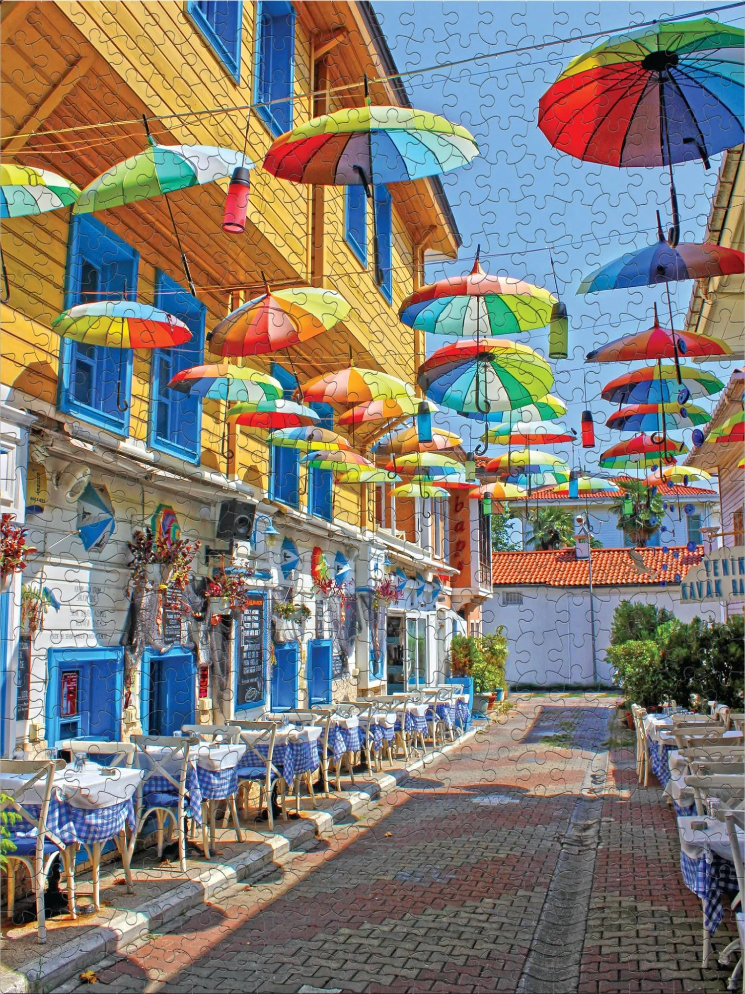 Colorful Parisols (Mustafa Tayfun Özcan) Photography