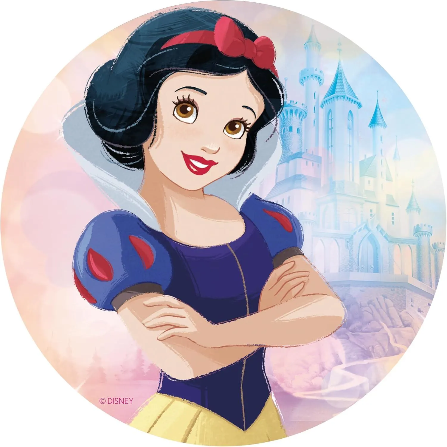 Disney Princess - 5 In 1 - Various Piece Jigsaw Puzzle by