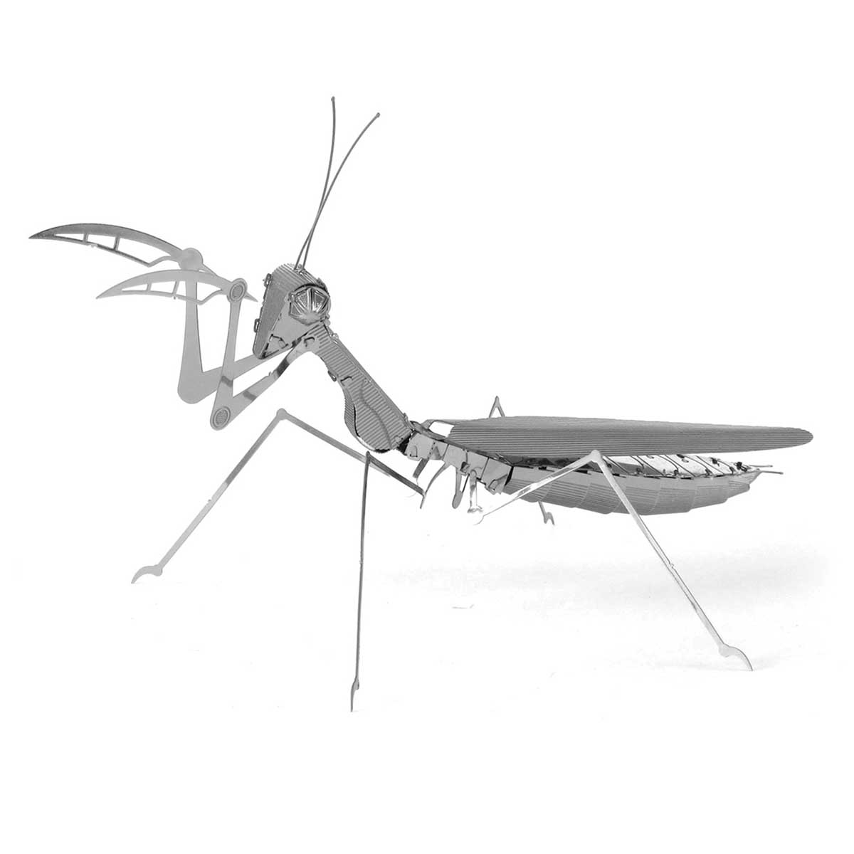 Praying Mantis Butterflies and Insects 3D Puzzle