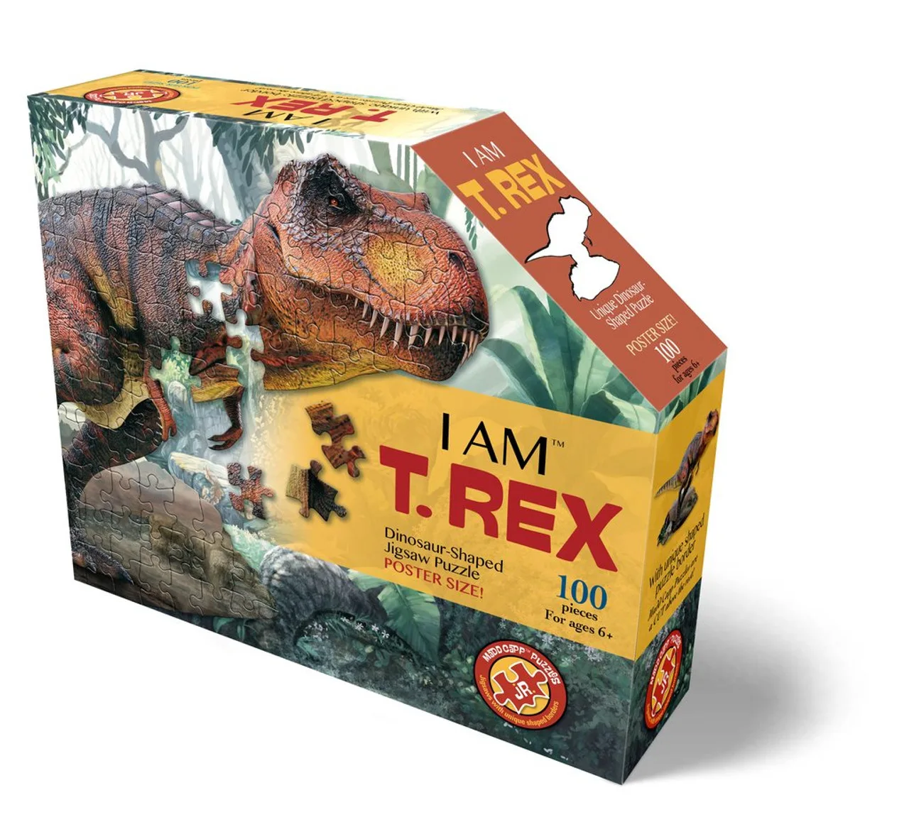 I Am T-Rex Dinosaurs