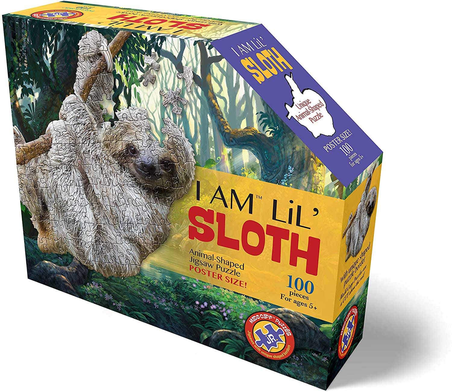 I Am Lil' Sloth Jungle Animals