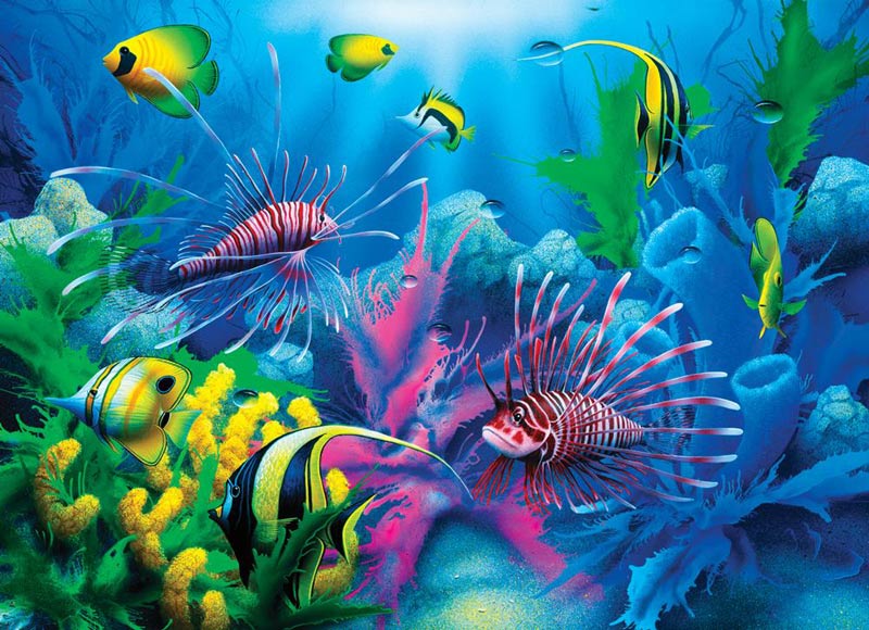 Lions of the Sea Sea Life