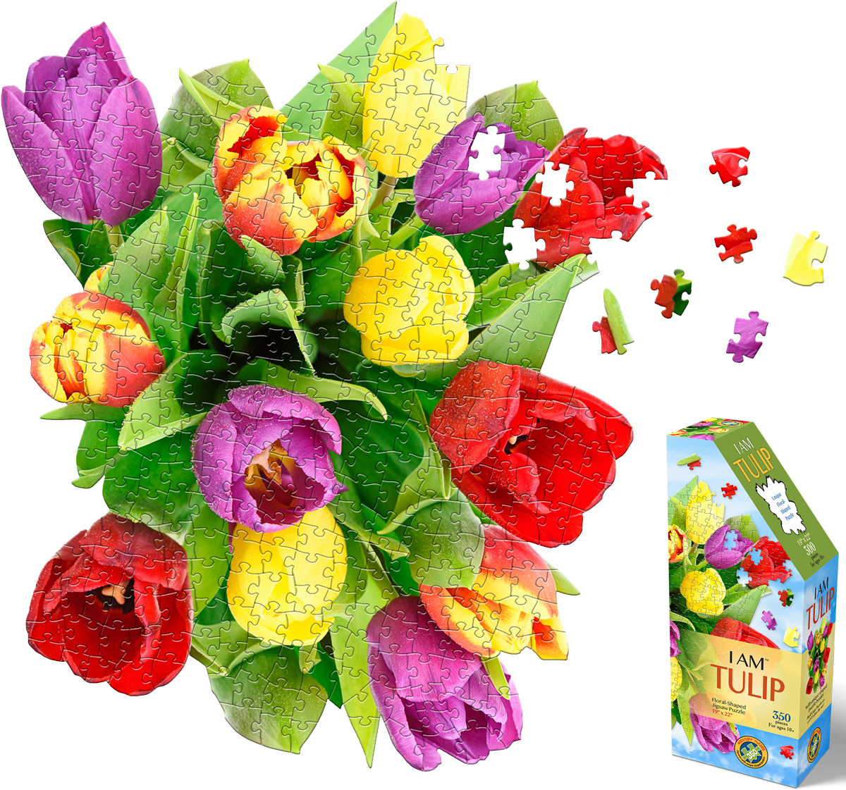 I Am Tulip Flower & Garden Shaped Puzzle