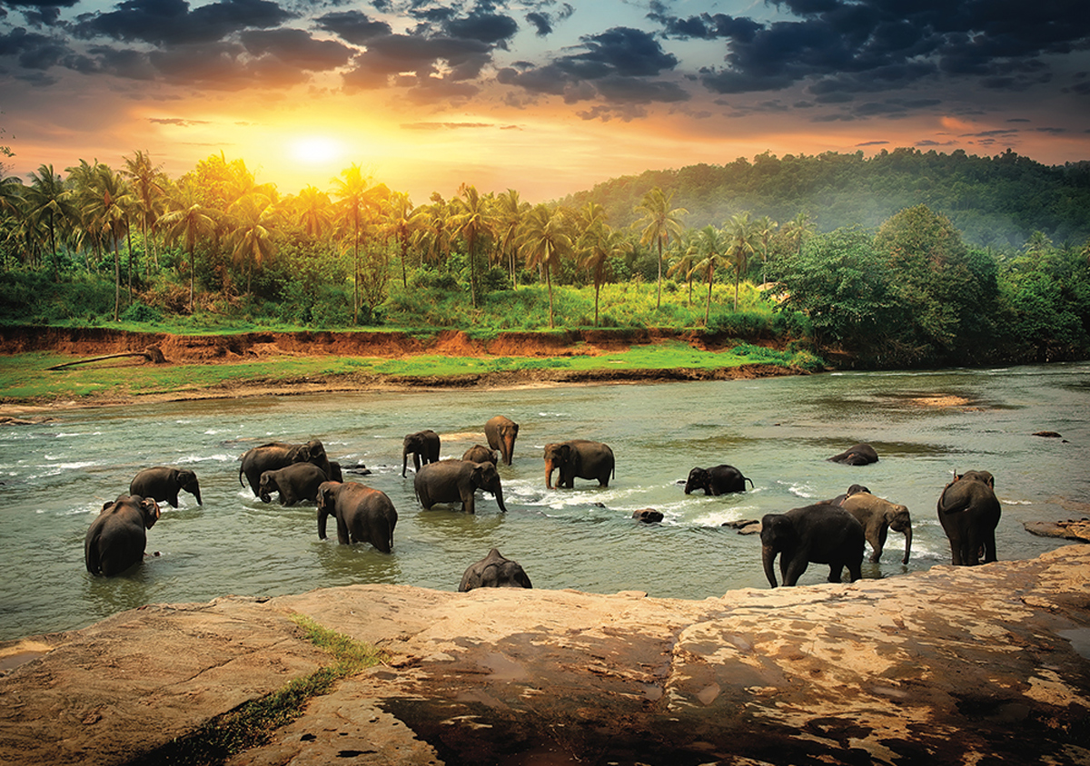 The Elephants - Scratch and Dent Lakes & Rivers Jigsaw Puzzle