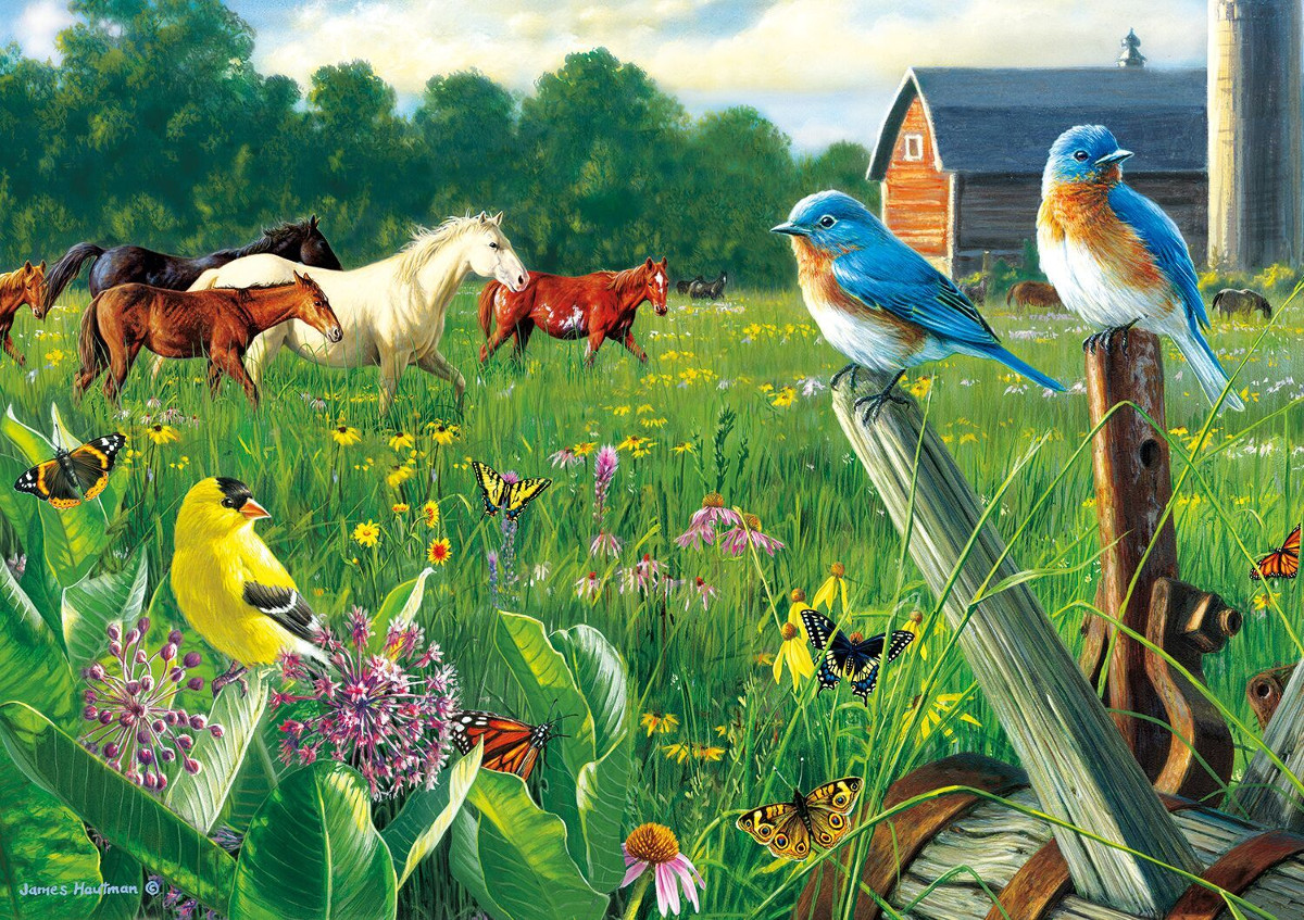 Country Meadow - Scratch and Dent Farm Jigsaw Puzzle