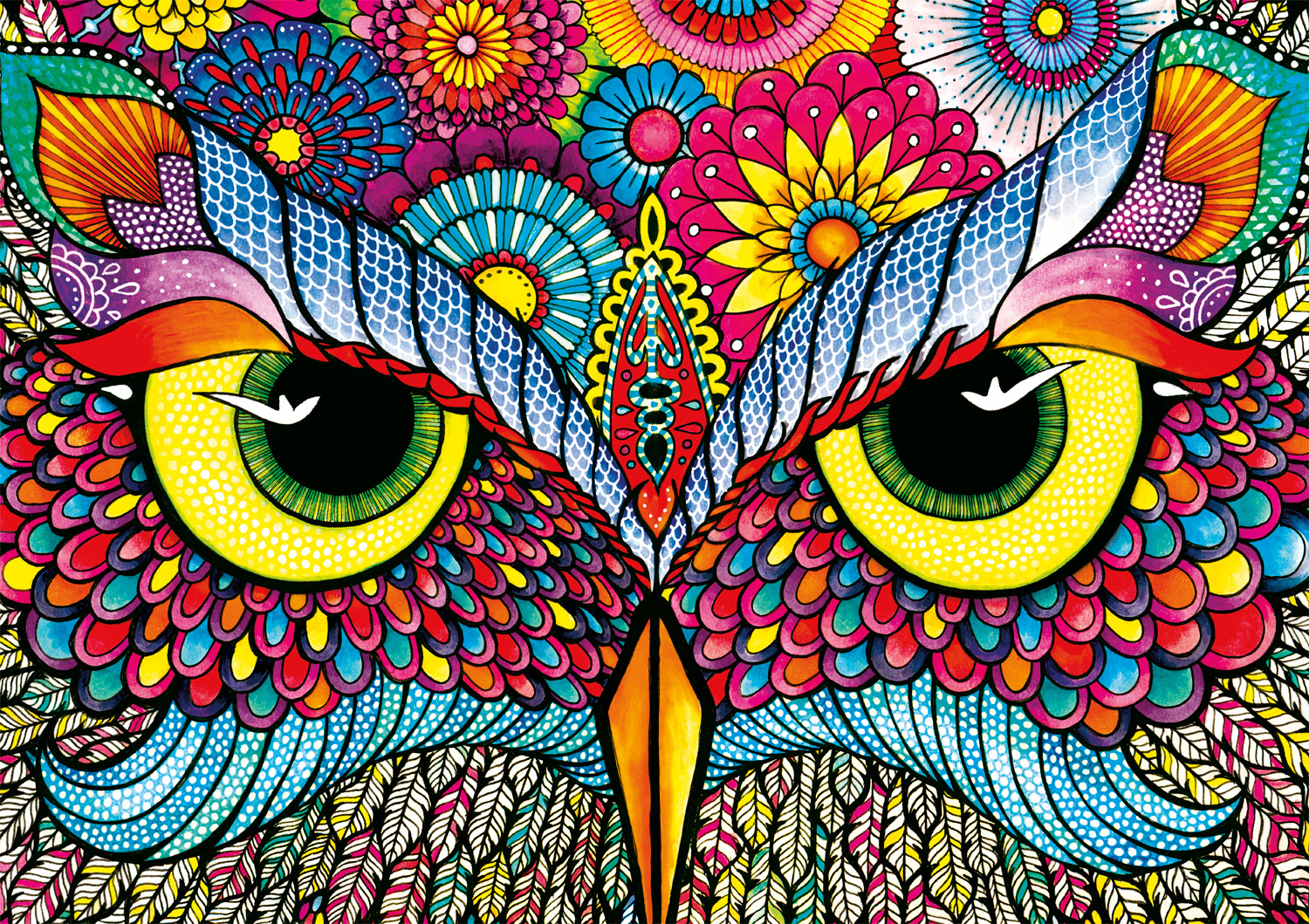 Owl Eyes Birds Jigsaw Puzzle