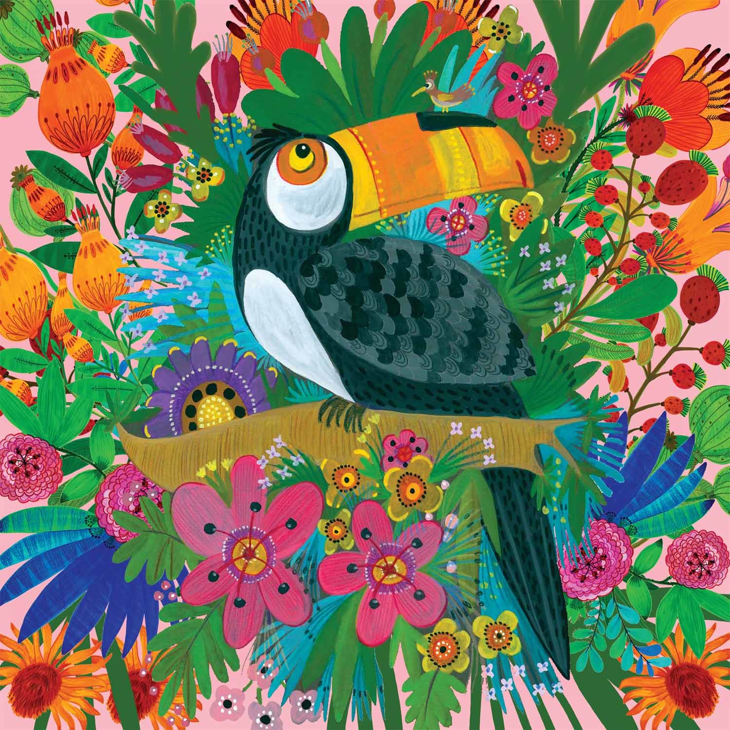 Terrific Toucan Birds